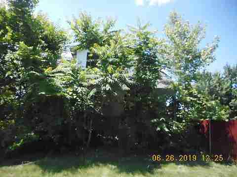 20103 Cardoni (1)_m.jpg